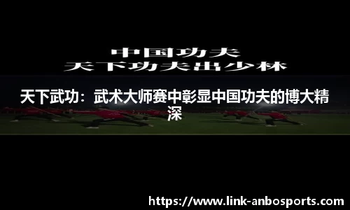 天下武功：武术大师赛中彰显中国功夫的博大精深